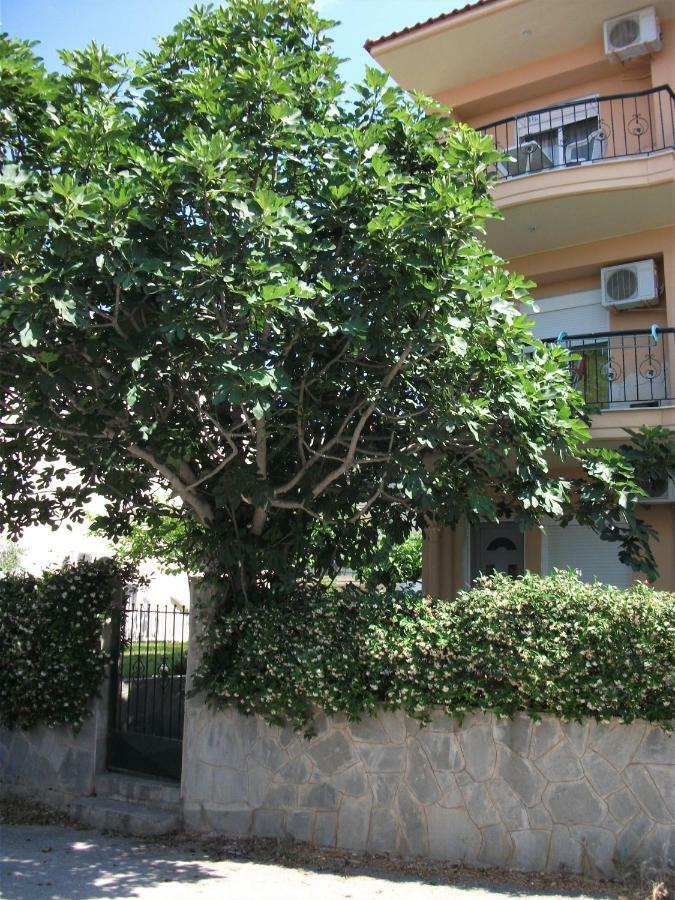 Fani House Apartment Kallithea  Exterior photo
